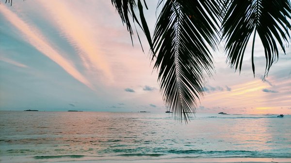 Comment organiser une visite des temples mayas au Guatemala à moindre coût?